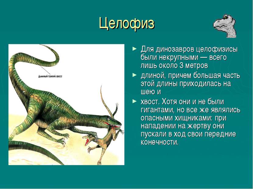 Целофиз Для динозавров целофизисы были некрупными — всего лишь около 3 метров...