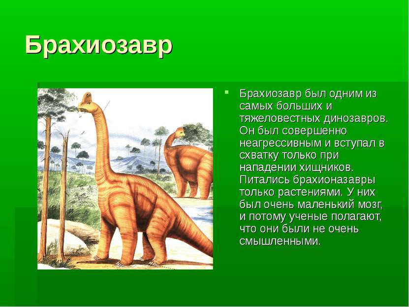 Брахиозавр Брахиозавр был одним из самых больших и тяжеловестных динозавров. ...