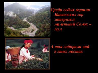 Среди седых вершин Кавказских гор затерялся маленький Солох –Аул А так собира...
