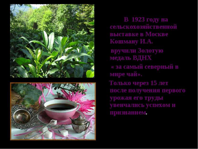 В 1923 году на сельскохозяйственной выставке в Москве Кошману И.А. вручили Зо...