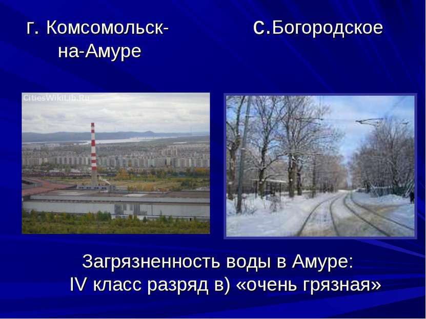 г. Комсомольск- с.Богородское на-Амуре Загрязненность воды в Амуре: IV класс ...