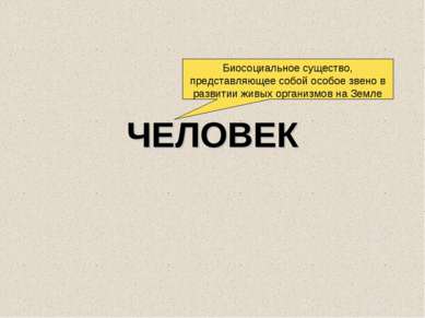 ЧЕЛОВЕК Биосоциальное существо, представляющее собой особое звено в развитии ...