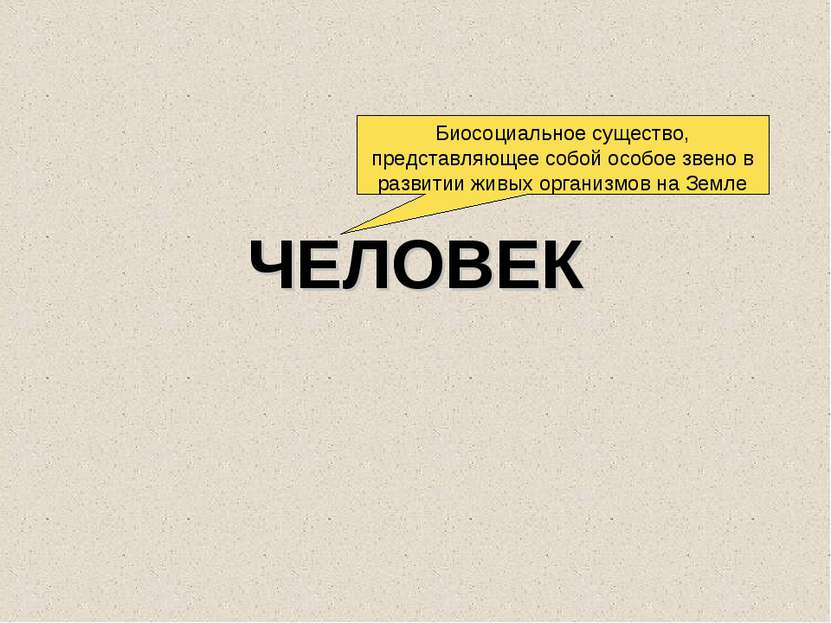 ЧЕЛОВЕК Биосоциальное существо, представляющее собой особое звено в развитии ...