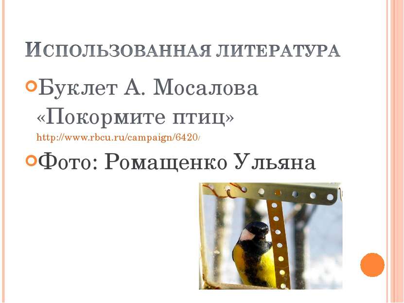 Буклет А. Мосалова «Покормите птиц» http://www.rbcu.ru/campaign/6420/ Фото: Р...