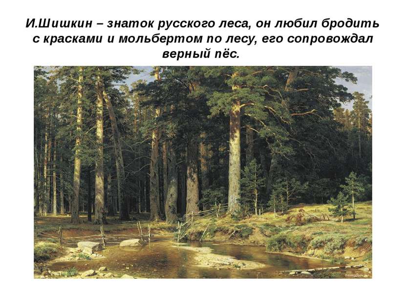 И.Шишкин – знаток русского леса, он любил бродить с красками и мольбертом по ...