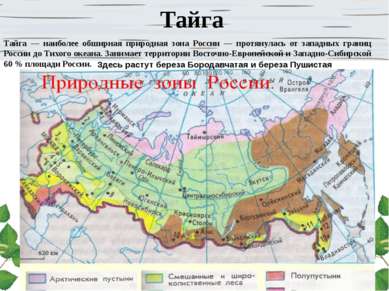 Тайга Тайга — наиболее обширная природная зона России — протянулась от западн...