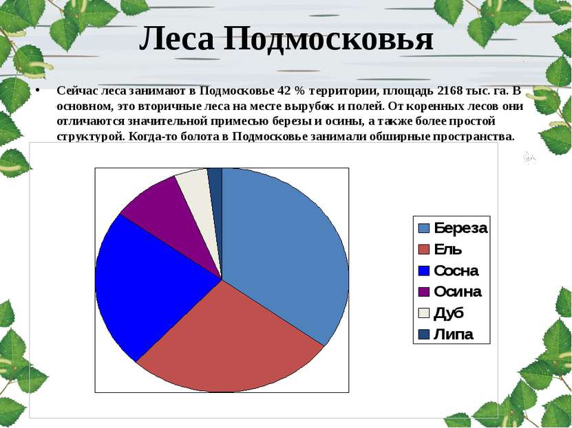 Леса Подмосковья Сейчас леса занимают в Подмосковье 42 % территории, площадь ...