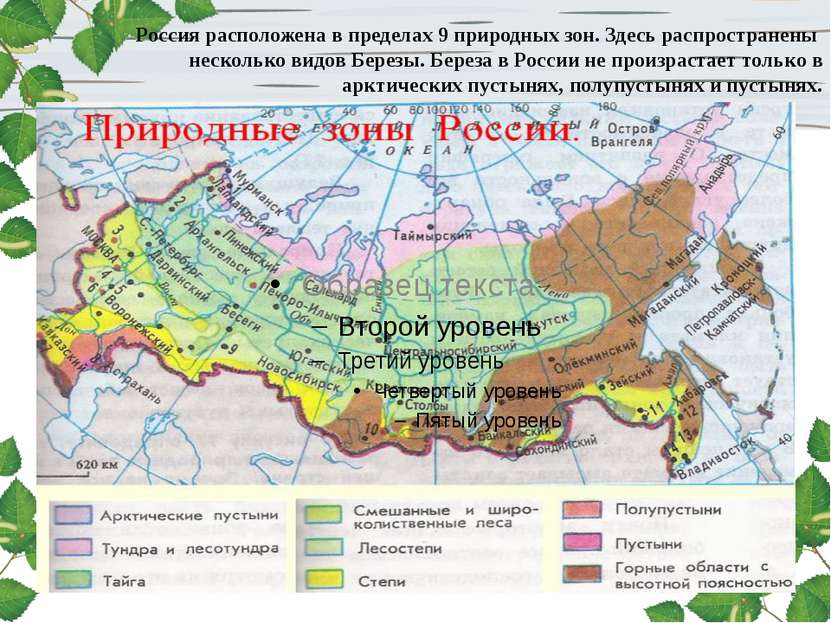 Россия расположена в пределах 9 природных зон. Здесь распространены несколько...