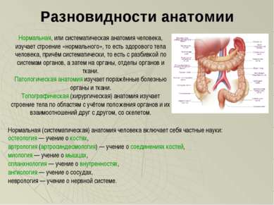 Разновидности анатомии Нормальная, или систематическая анатомия человека, изу...