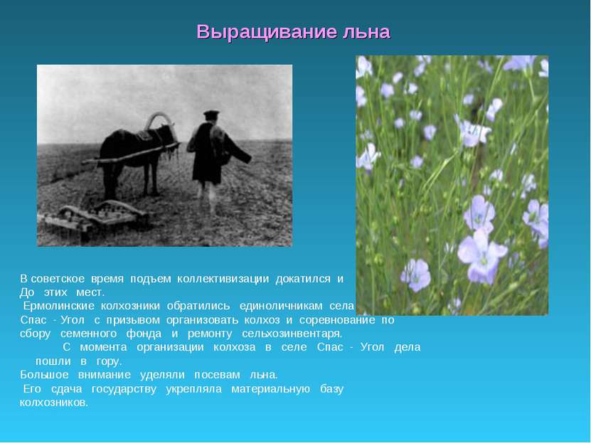 Выращивание льна В советское время подъем коллективизации докатился и До этих...