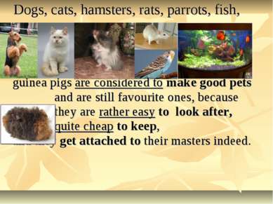 Dogs, cats, hamsters, rats, parrots, fish, guinea pigs are considered to make...