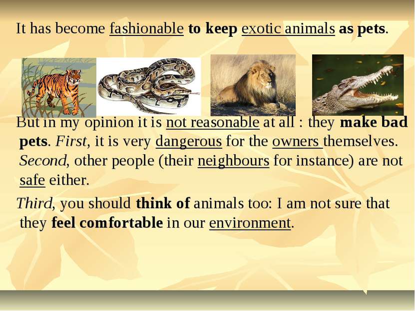 It has become fashionable to keep exotic animals as pets. But in my opinion i...