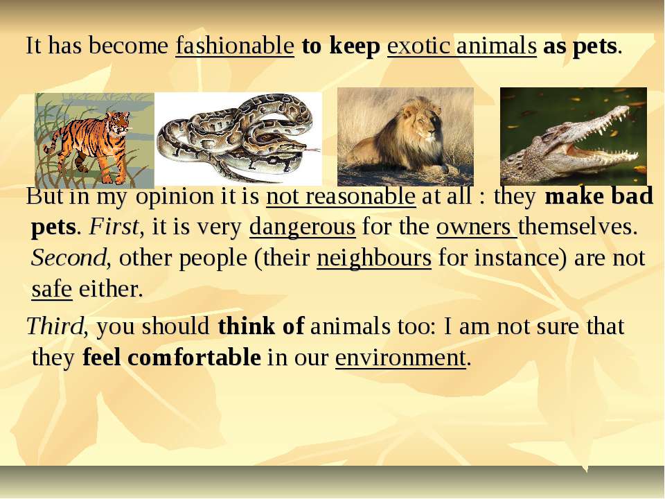 Keeping wild animals as pets essay