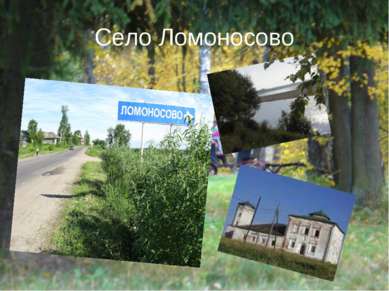 Село Ломоносово