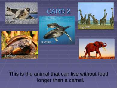 CARD 2 This is the animal that can live without food longer than a camel. a s...