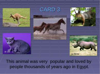 CARD 3 This animal was very popular and loved by people thousands of years ag...
