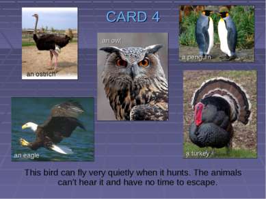 CARD 4 This bird can fly very quietly when it hunts. The animals can’t hear i...