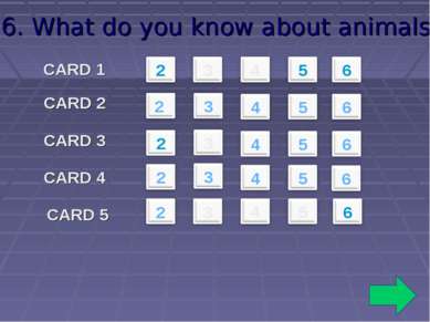 6. What do you know about animals? CARD 1 CARD 2 CARD 3 CARD 4 CARD 5