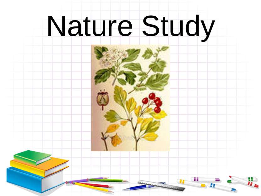 Nature Study