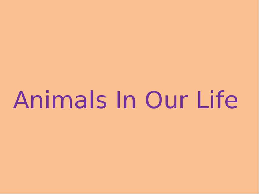 Animals In Our Life