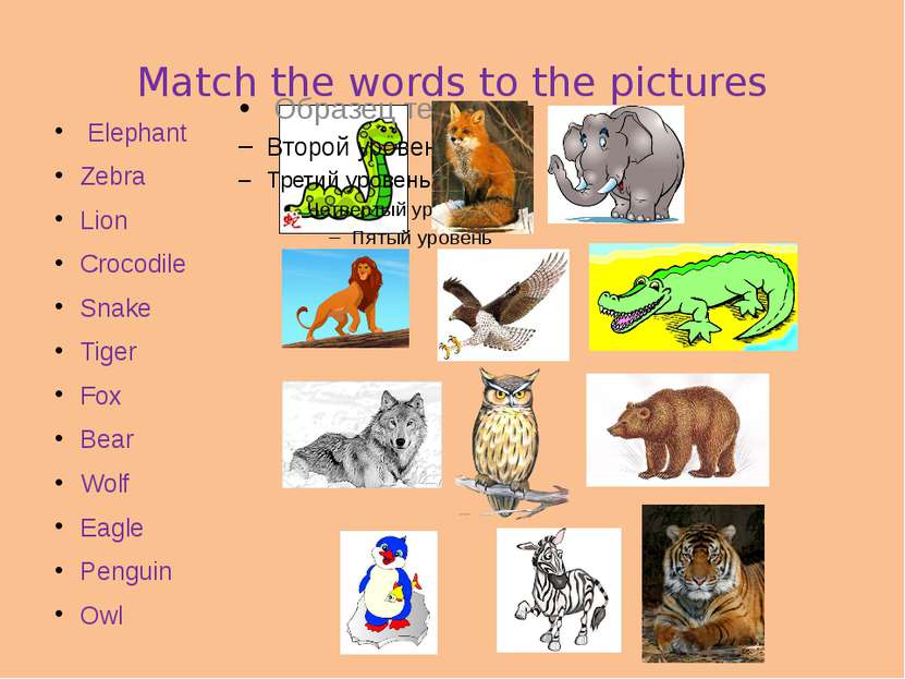 Match the words to the pictures Elephant Zebra Lion Crocodile Snake Tiger Fox...