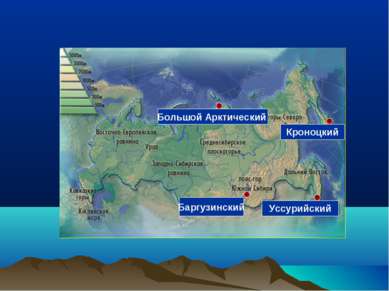 Баргузинский Уссурийский Большой Арктический Кроноцкий