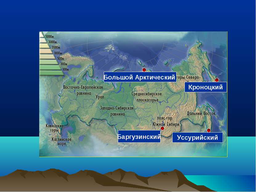 Баргузинский Уссурийский Большой Арктический Кроноцкий