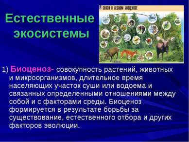 Естественные экосистемы 1) Биоценоз- совокупность растений, животных и микроо...