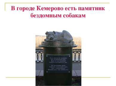 В городе Кемерово есть памятник бездомным собакам