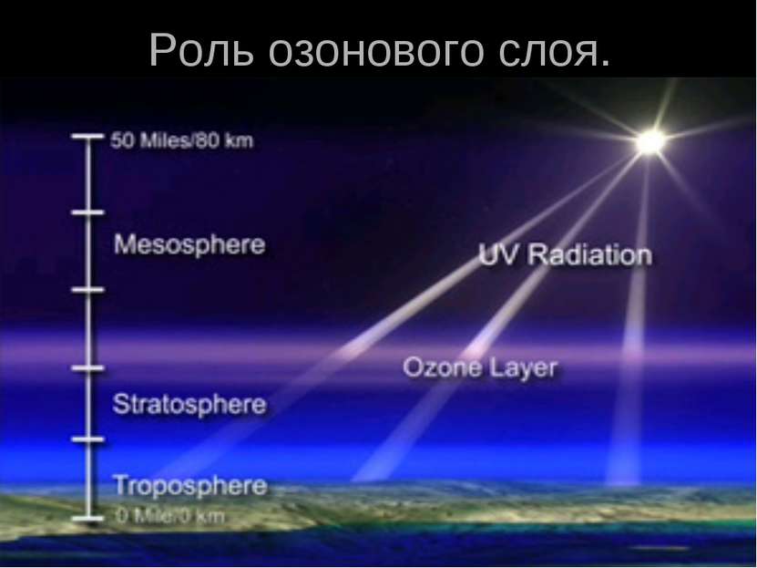 Роль озонового слоя.