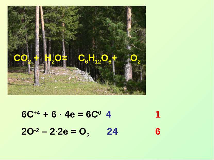 CO2 + H2O= C6H12O6+ O2 6C+4 + 6 ∙ 4e = 6C0 4 2O-2 – 2∙2e = O2 24 1 6