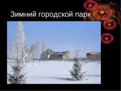 Зимний городской парк