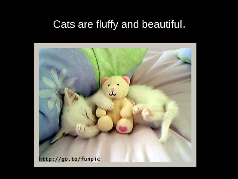 Cats are fluffy and beautiful.