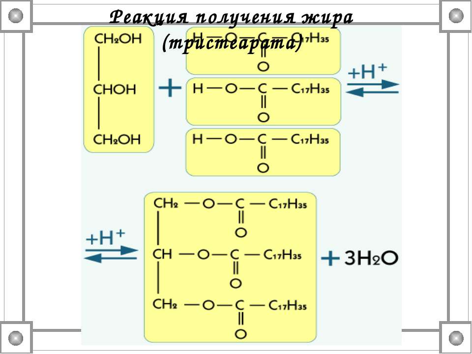 Уравнение синтеза жира. Окисление тристеарата. Реакция получения жиров. Жиры в природе превращение жиров в организме. Синтез жира реакции.