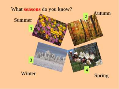 Summer Autumn Winter Spring What seasons do you know? 1 2 3 4