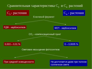 С3 - растения С4 - растения Сравнительная характеристика С3 и С4 растений Клю...