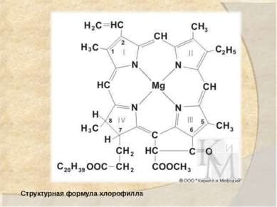 Структурная формула хлорофилла