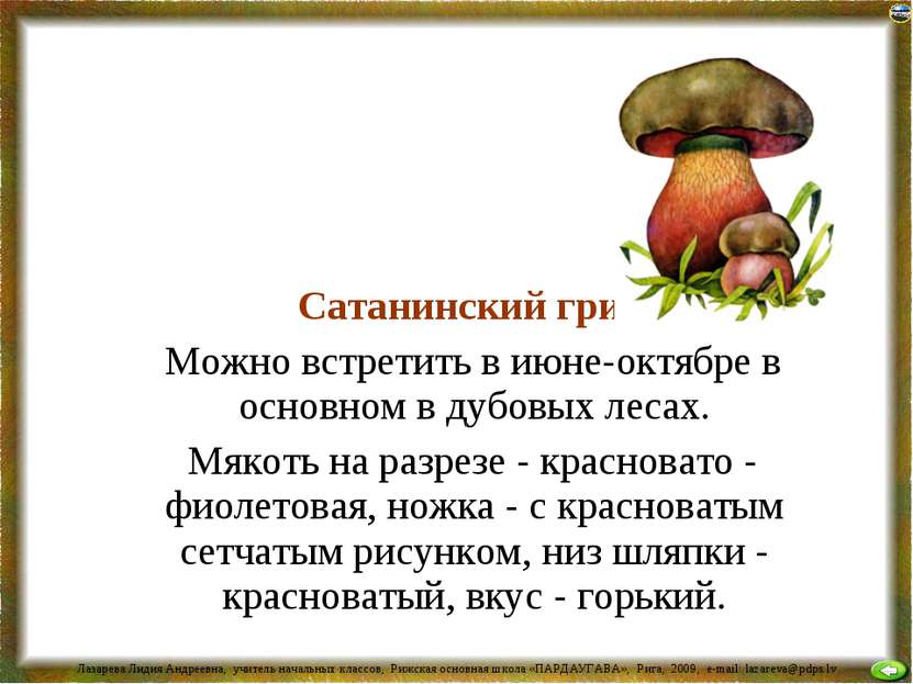 Сатанинский гриб Можно встретить в июне-октябре в основном в дубовых лесах. М...
