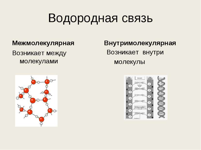 Водородная связь Межмолекулярная Возникает между молекулами Внутримолекулярна...