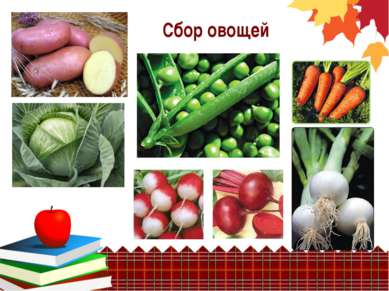 Сбор овощей