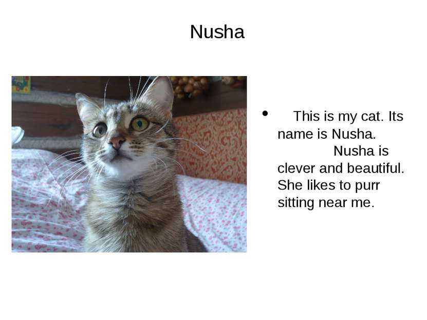 Nusha This is my cat. Its name is Nusha. Nusha is clever and beautiful. She l...