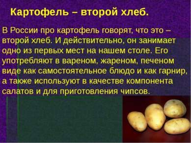 Картофель – второй хлеб. В России про картофель говорят, что это – второй хле...