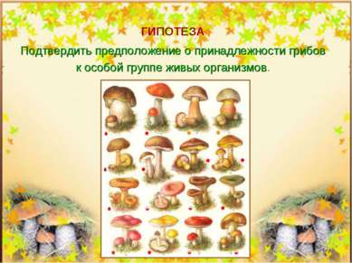 ГИПОТЕЗА Подтвердить предположение о принадлежности грибов к особой группе жи...