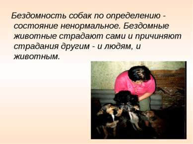 Бездомность собак по определению - состояние ненормальное. Бездомные животные...
