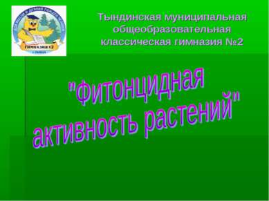 Тындинская муниципальная общеобразовательная классическая гимназия №2