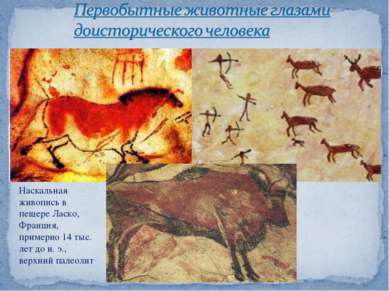 Наскальная живопись в пещере Ласко, Франция, примерно 14 тыс. лет до н. э., в...