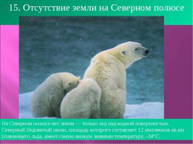 15. Отсутствие земли на Северном полюсе На Северном полюсе нет земли — только...