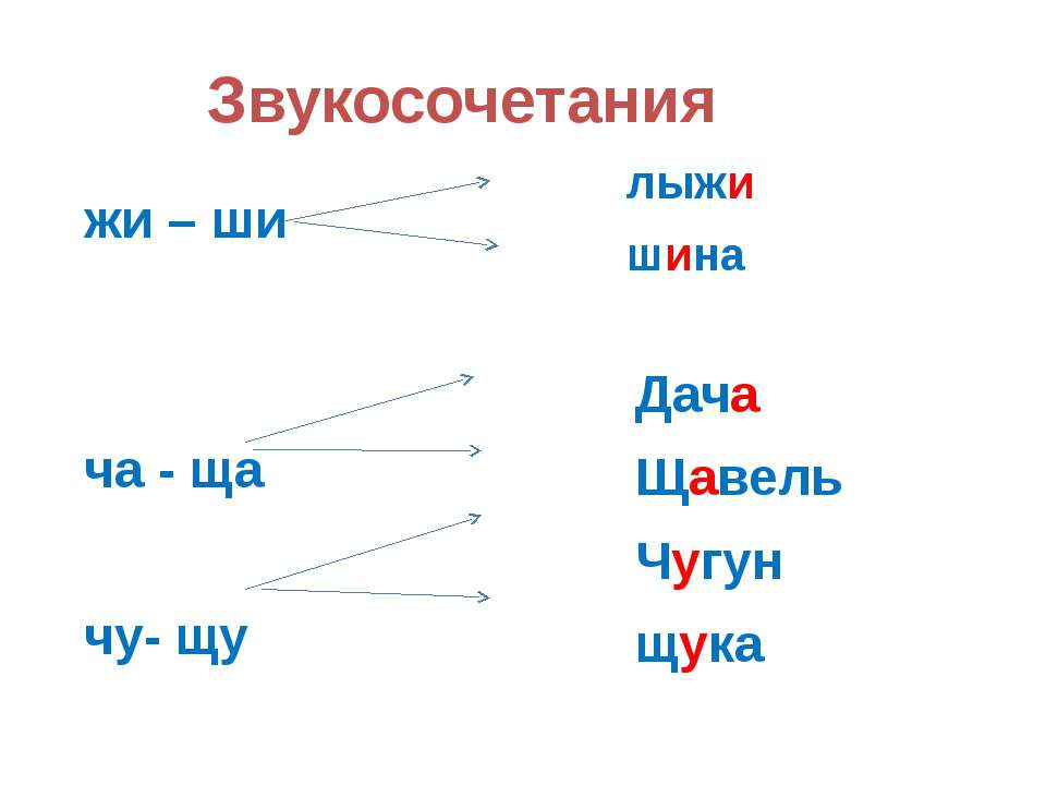 Слово щавель мягкие согласные звуки. Звукосочетания по типу СС. Звукосочетания по типу СС В русском языке.