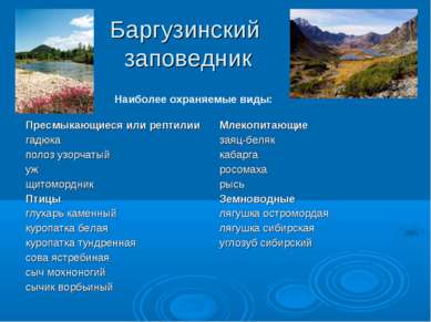 Баргузинский заповедник Наиболее охраняемые виды: