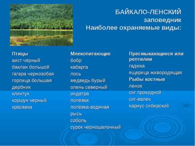 БАЙКАЛО-ЛЕНСКИЙ заповедник Наиболее охраняемые виды: